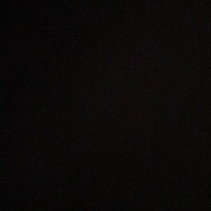 Meet your Posher, Phoenix